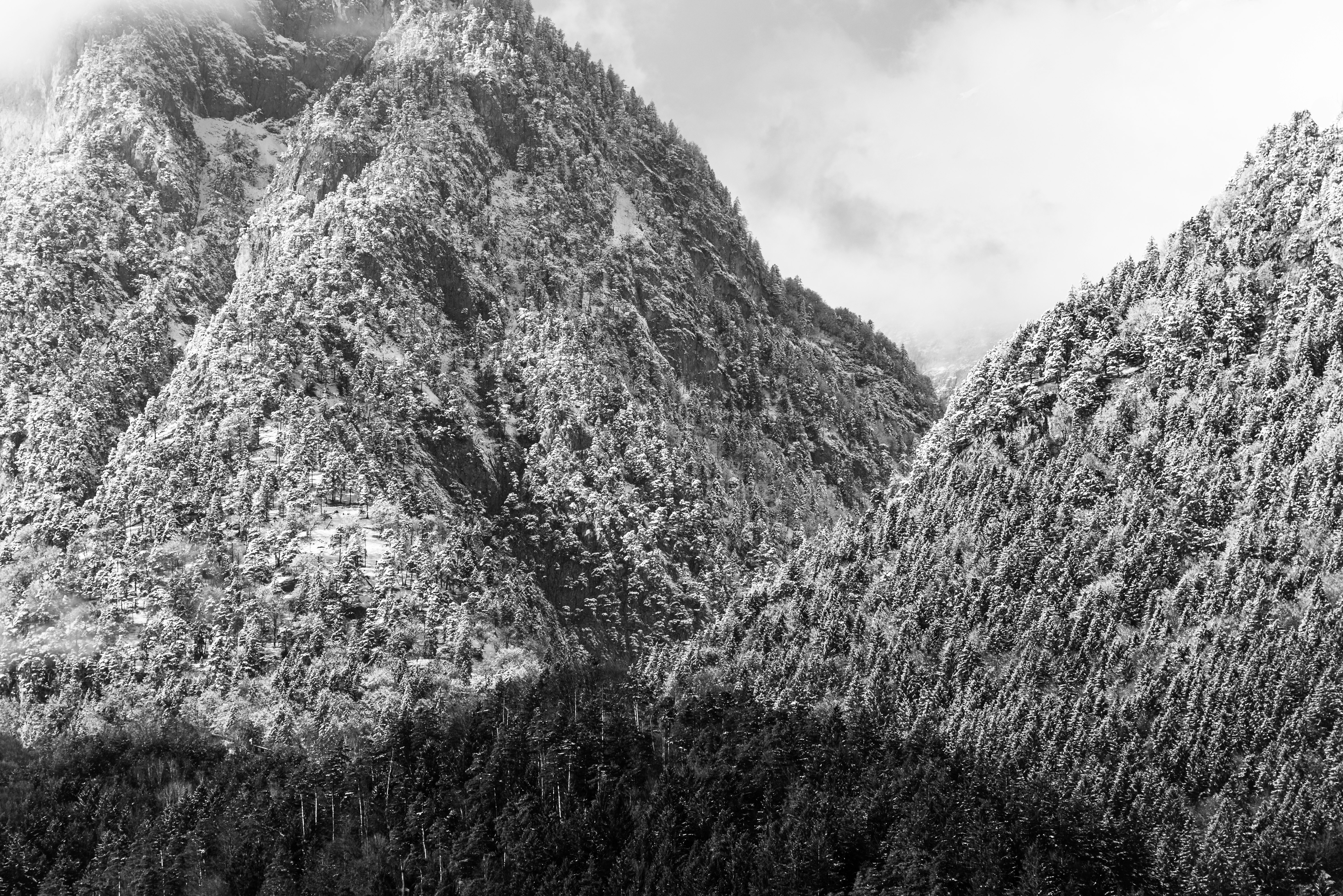 grayscale photo of mountain range